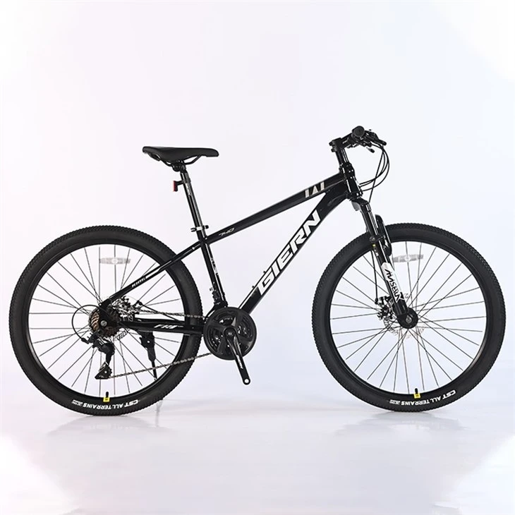 24 Speed MTB