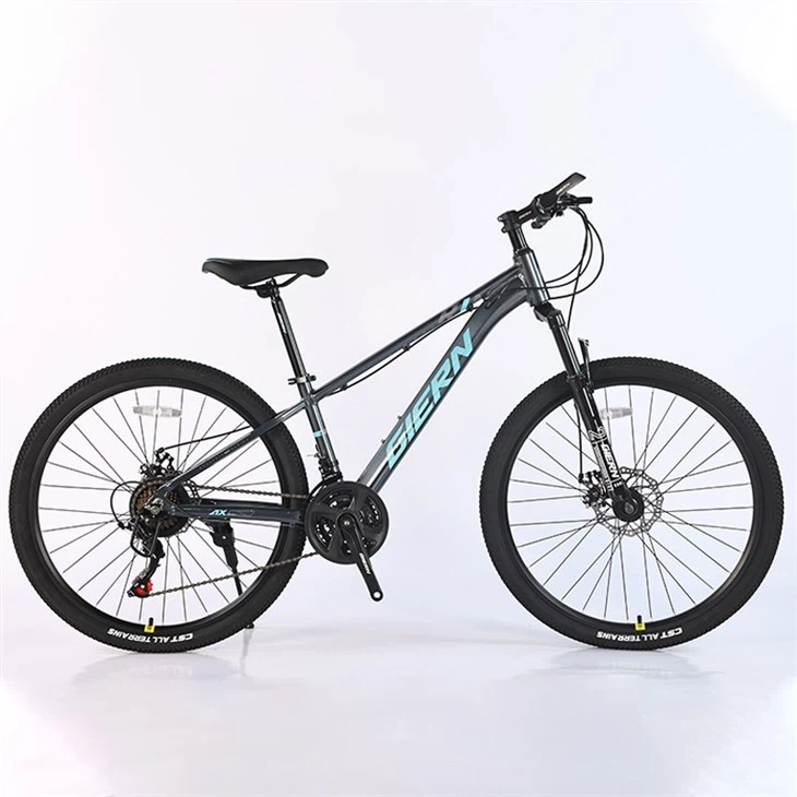 Pink Mountain Bike 26 Inch